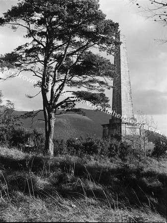 THE BLADENSBURG MONUMENT